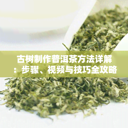 古树制作普洱茶方法详解：步骤、视频与技巧全攻略