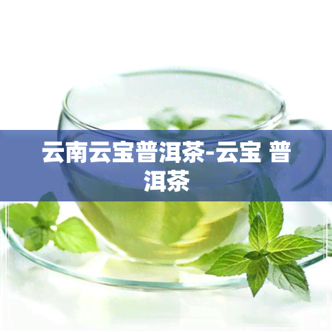 云南云宝普洱茶-云宝 普洱茶