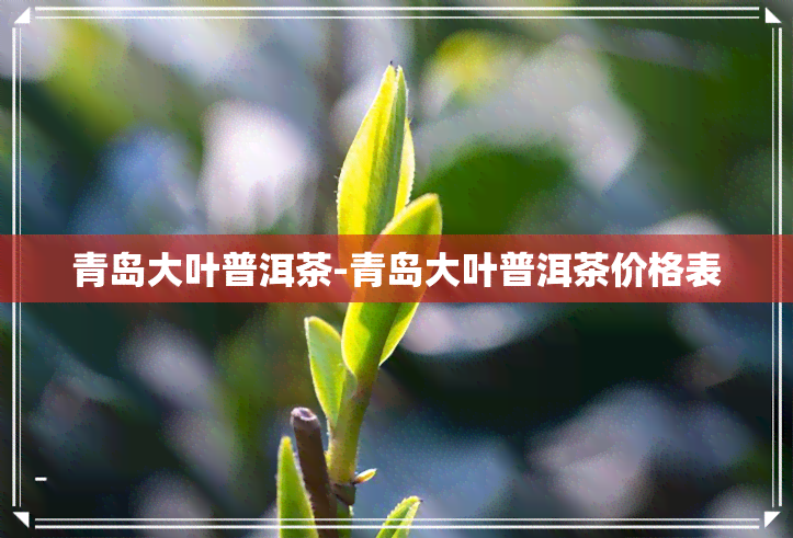 青岛大叶普洱茶-青岛大叶普洱茶价格表