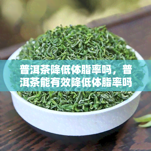 普洱茶降低体脂率吗，普洱茶能有效降低体脂率吗？探究其科学原理与实证研究