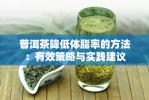 普洱茶降低体脂率的方法：有效策略与实践建议