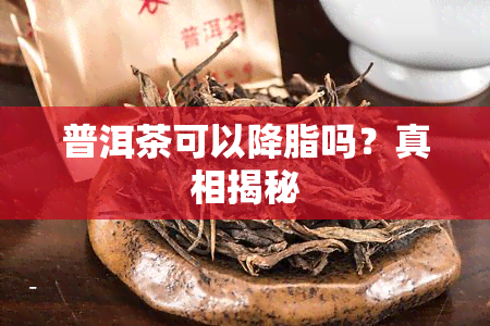 普洱茶可以降脂吗？真相揭秘