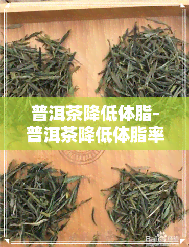 普洱茶降低体脂-普洱茶降低体脂率吗