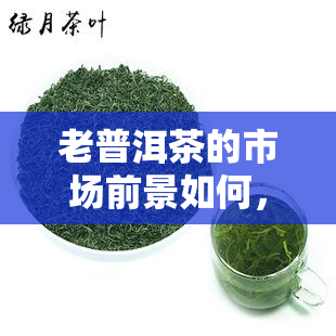 老普洱茶的市场前景如何，探究老普洱茶的市场前景：未来发展趋势与投资价值分析