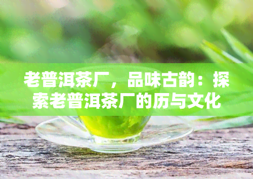 老普洱茶厂，品味古韵：探索老普洱茶厂的历与文化