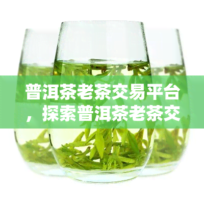 普洱茶老茶交易平台，探索普洱茶老茶交易平台，轻松购买高品质古级普洱茶叶！