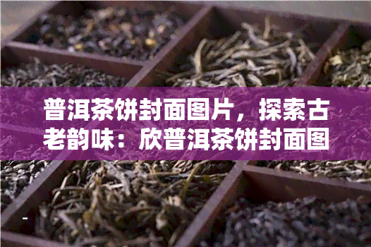 普洱茶饼封面图片，探索古老韵味：欣普洱茶饼封面图片