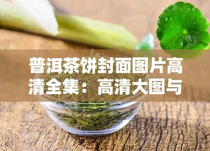 普洱茶饼封面图片高清全集：高清大图与大全一网打尽！