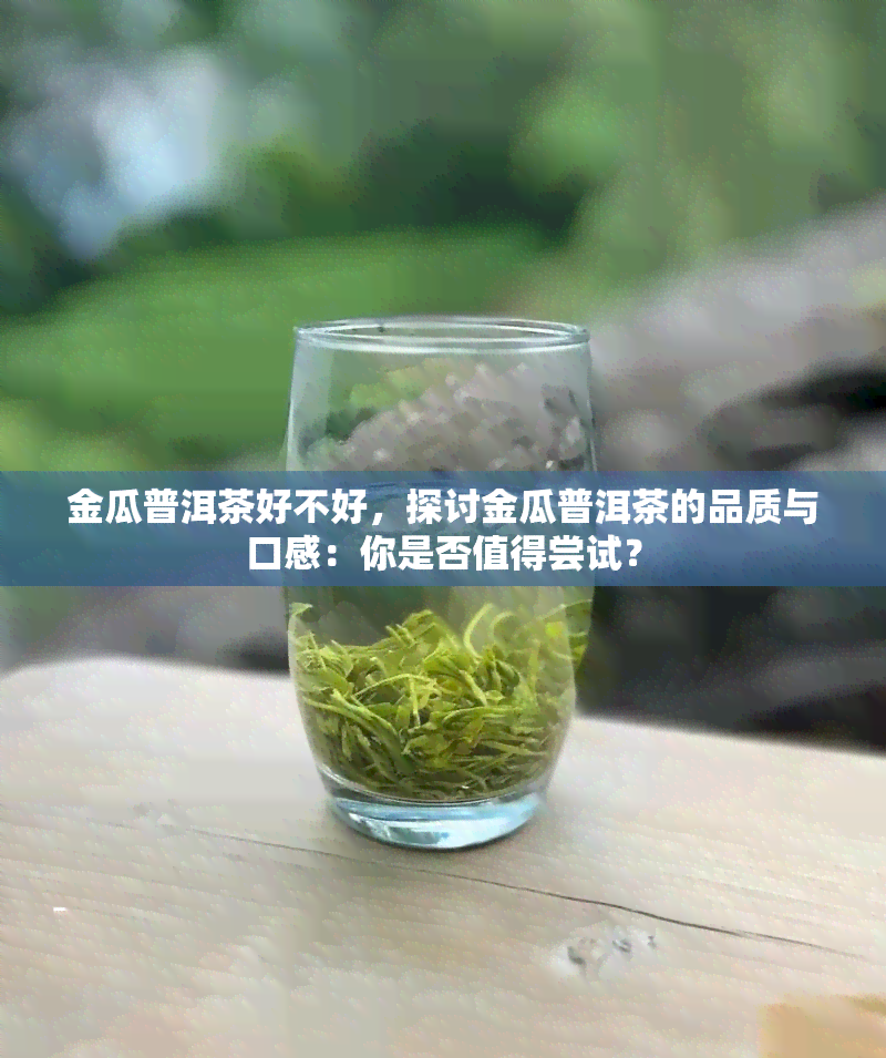 金瓜普洱茶好不好，探讨金瓜普洱茶的品质与口感：你是否值得尝试？