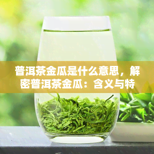 普洱茶金瓜是什么意思，解密普洱茶金瓜：含义与特点