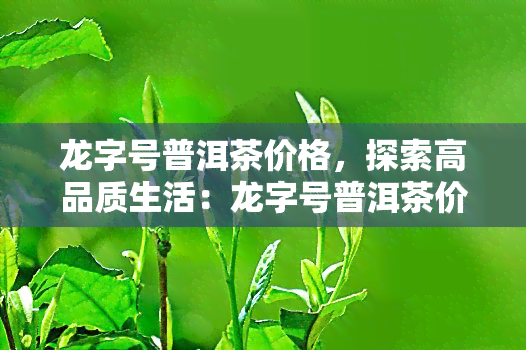 龙字号普洱茶价格，探索高品质生活：龙字号普洱茶价格全解析