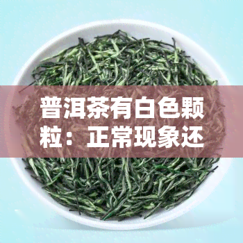 普洱茶有白色颗粒：正常现象还是异常情况？