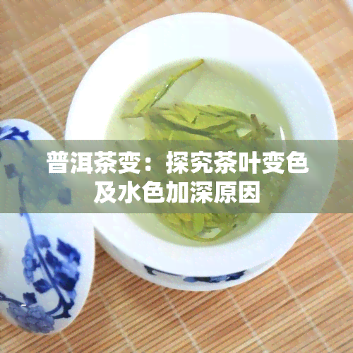 普洱茶变：探究茶叶变色及水色加深原因