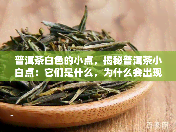 普洱茶白色的小点，揭秘普洱茶小白点：它们是什么，为什么会出现？