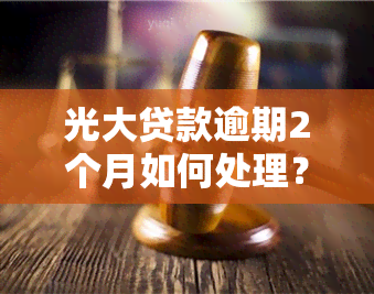 光大贷款逾期2个月如何处理？