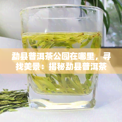 勐县普洱茶公园在哪里，寻找美景：揭秘勐县普洱茶公园的具 *** 置！