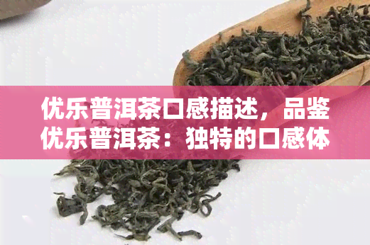 优乐普洱茶口感描述，品鉴优乐普洱茶：独特的口感体验