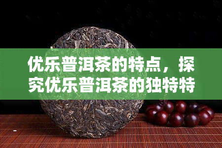 优乐普洱茶的特点，探究优乐普洱茶的独特特点与魅力