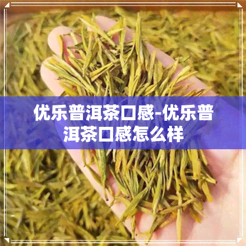 优乐普洱茶口感-优乐普洱茶口感怎么样