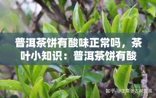 普洱茶饼有酸味正常吗，茶叶小知识：普洱茶饼有酸味是否正常？