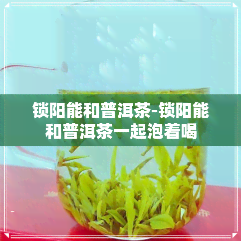 锁阳能和普洱茶-锁阳能和普洱茶一起泡着喝