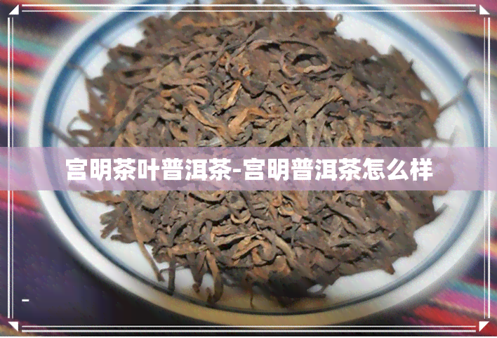 宫明茶叶普洱茶-宫明普洱茶怎么样