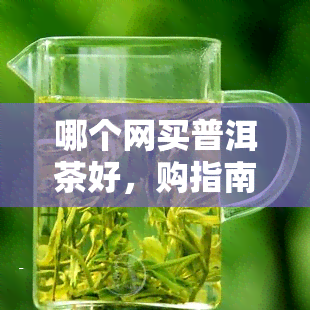 哪个网买普洱茶好，购指南：哪个网站购买最靠谱？