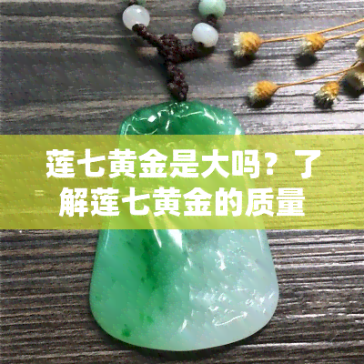 莲七黄金是大吗？了解莲七黄金的质量与评价