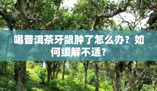 喝普洱茶牙龈肿了怎么办？如何缓解不适？