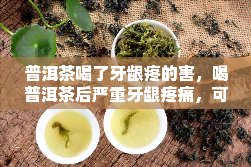 普洱茶喝了牙龈疼的害，喝普洱茶后严重牙龈疼痛，可能是什么原因？