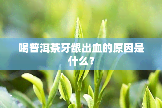 喝普洱茶牙龈出血的原因是什么？