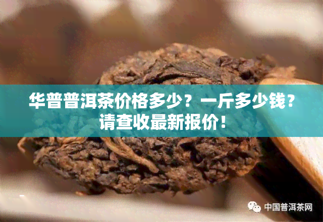 华普普洱茶价格多少？一斤多少钱？请查收最新报价！