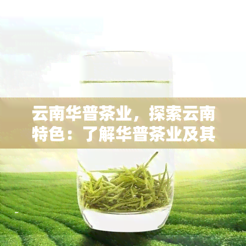 云南华普茶业，探索云南特色：了解华普茶业及其优质茶叶