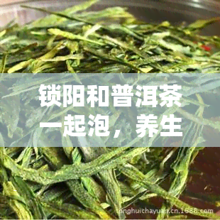 锁阳和普洱茶一起泡，养生新宠：锁阳与普洱茶的完美搭配