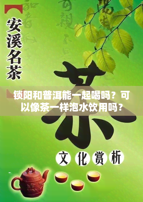 锁阳和普洱能一起喝吗？可以像茶一样泡水饮用吗？