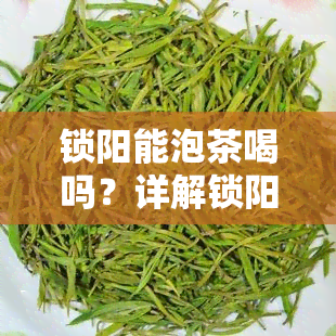 锁阳能泡茶喝吗？详解锁阳泡茶方法与注意事