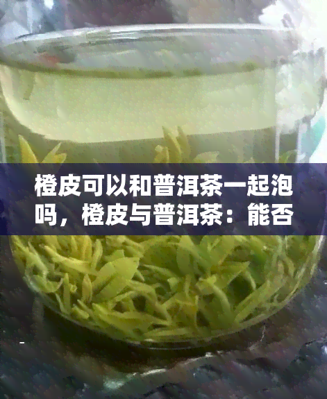 橙皮可以和普洱茶一起泡吗，橙皮与普洱茶：能否搭配冲泡？