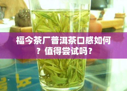 福今茶厂普洱茶口感如何？值得尝试吗？