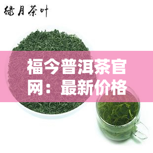 福今普洱茶官网：最新价格全览，2006年产品一网打尽