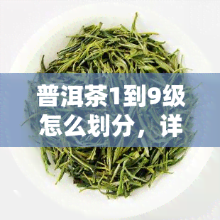 普洱茶1到9级怎么划分，详解：普洱茶的1-9级划分标准