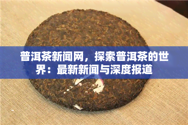 普洱茶新闻网，探索普洱茶的世界：最新新闻与深度报道