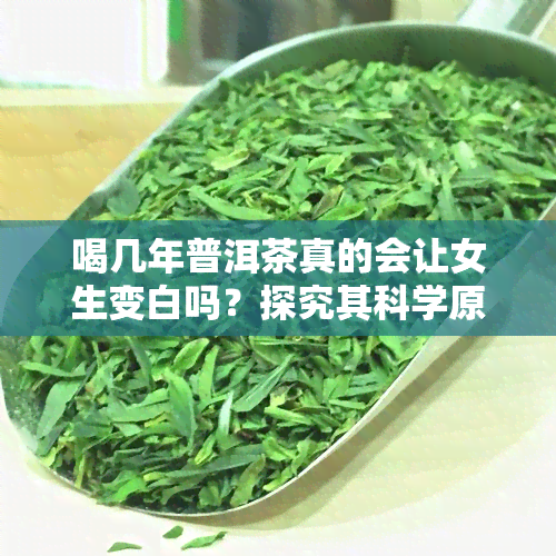 喝几年普洱茶真的会让女生变白吗？探究其科学原理与效果