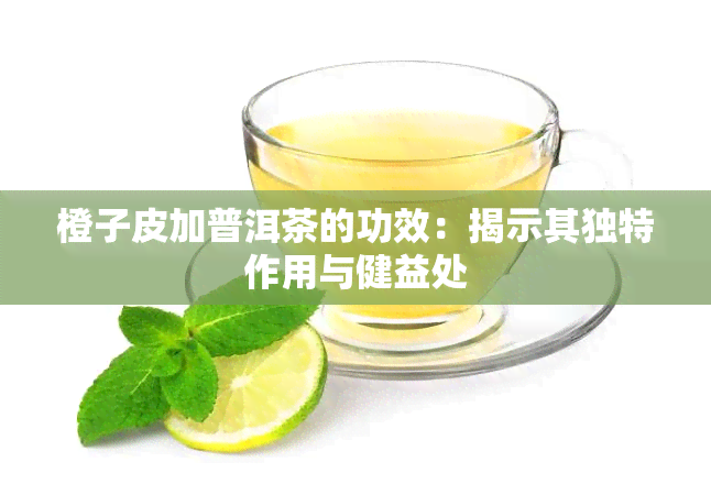 橙子皮加普洱茶的功效：揭示其独特作用与健益处