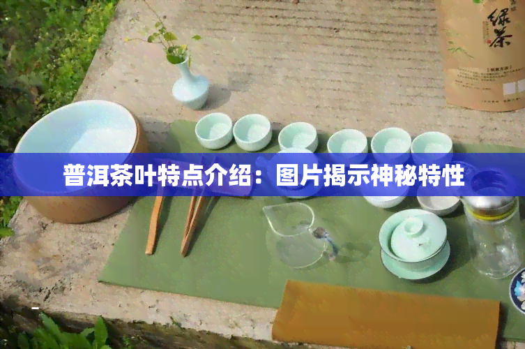 普洱茶叶特点介绍：图片揭示神秘特性