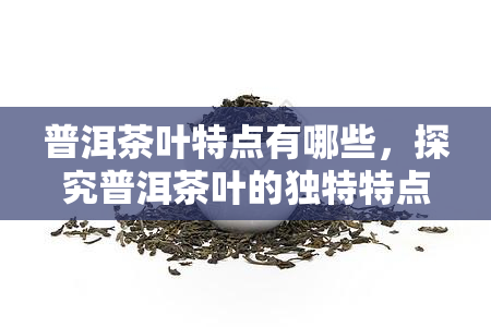 普洱茶叶特点有哪些，探究普洱茶叶的独特特点