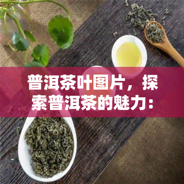 普洱茶叶图片，探索普洱茶的魅力：新茶叶的美丽照片