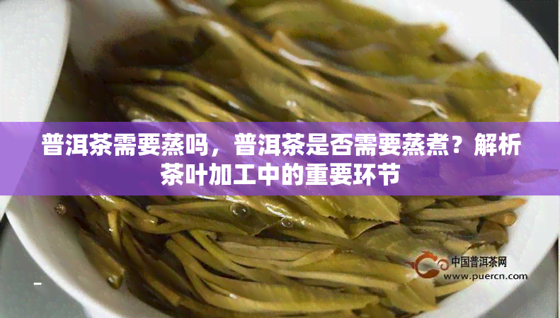 普洱茶需要蒸吗，普洱茶是否需要蒸煮？解析茶叶加工中的重要环节