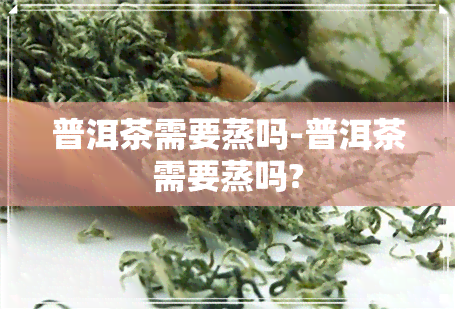 普洱茶需要蒸吗-普洱茶需要蒸吗?