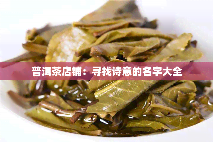 普洱茶店铺：寻找诗意的名字大全