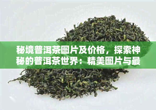 秘境普洱茶图片及价格，探索神秘的普洱茶世界：精美图片与最新价格全解析